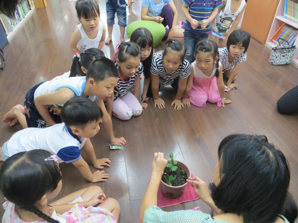 快來看看藍尾鳳蝶的幼蟲在哪